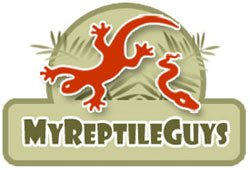 My Reptile Guys