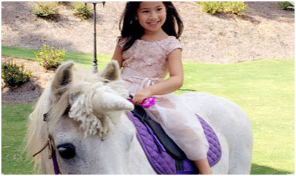 Pony Party Entertainers