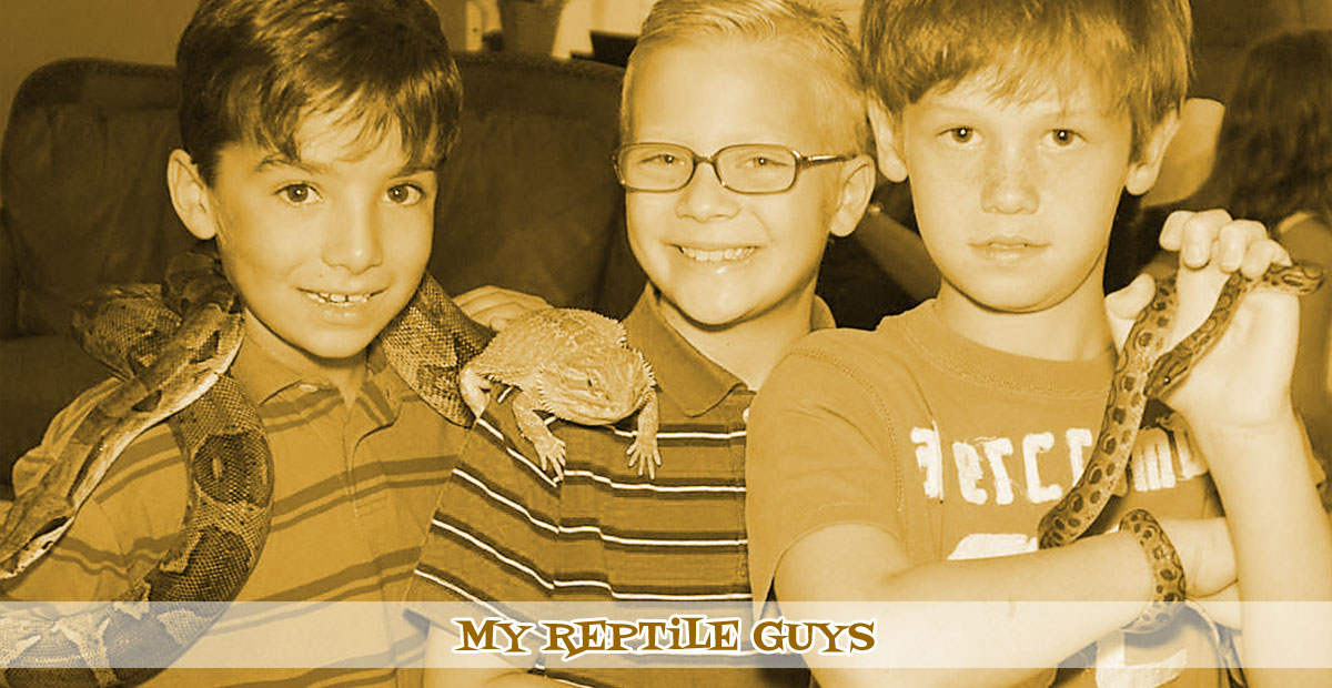 Young kids enjoying a reptile party at home