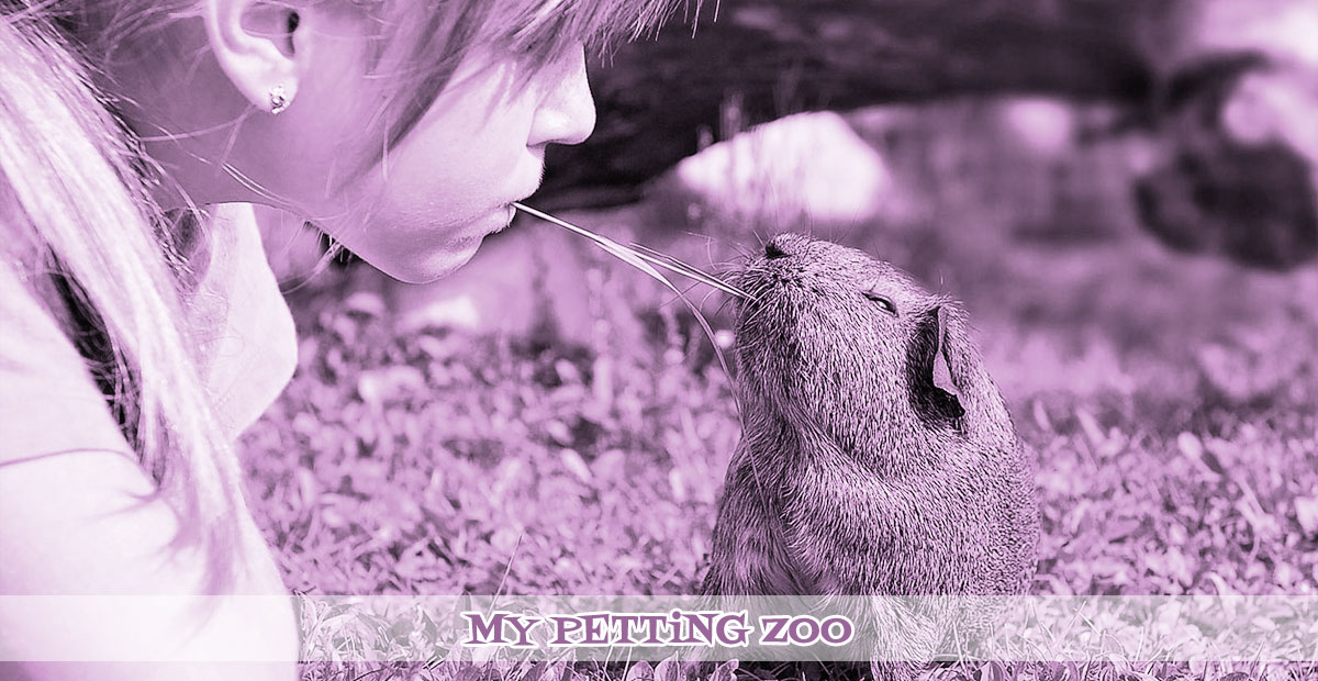 A child playing with an adorable hamster at a petting zoo party