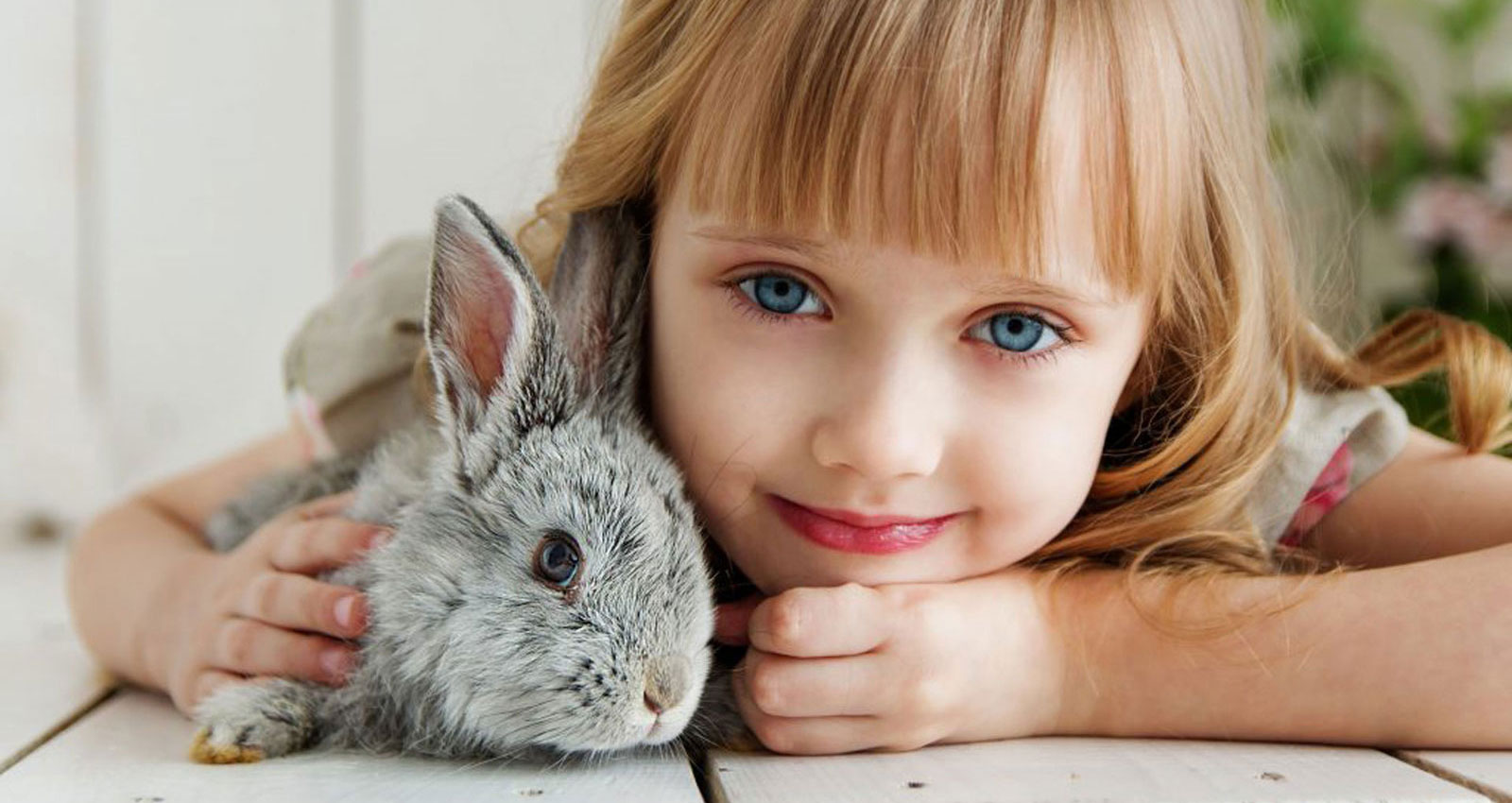 Kid's Petting Zoo Birthday Parties